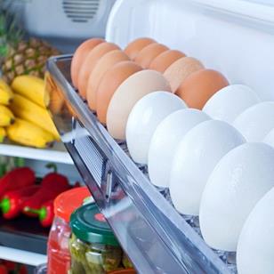 open refrigerator with eggs in the door and bananas pineapple eggplant peppers tomatoes oranges